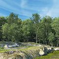 Beautiful Natural Landscape With Lush Green Forest And Bright Blue Sky Over Mossy Rocky Ground