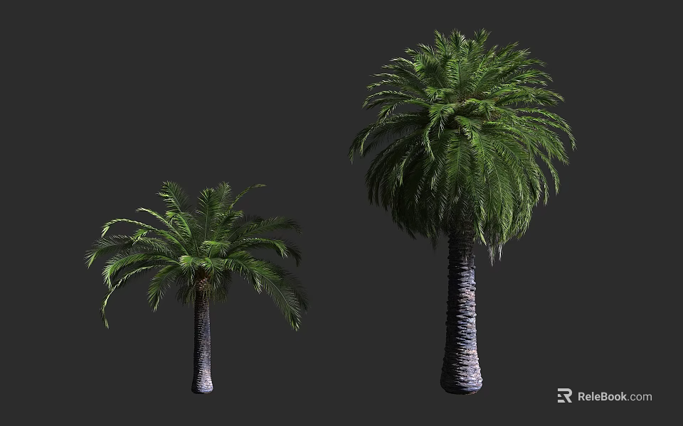 Two Different Sizes of Palm Trees with Lush Green Fronds and Textured Trunks 3d model 