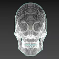 Detailed Human Skull Anatomical Structure With Eye Sockets Teeth And Facial Features