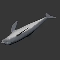 Game Movie Character White Dolphin 3D Render with Animated Realistic Design 3d model
