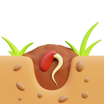 Germinating Seed Growing In Brown Soil With Green Grass Blades And Small Seeds 3d model