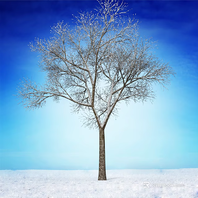 Snow Covered Tree With Bare Branches Under Clear Blue Winter Sky 3d model 