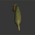 Fresh Yellow and Green Corn Cob With Green Husk and Golden Silk Isolated on Dark Background