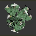 Trailing Hanging Plant With White Blooms And Lush Green Leaves In Decorative Pot
