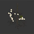 Dried Plant Branches With White Buds and Small Green Seedling on White Background