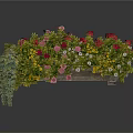Vibrant Flower Box With Pink Red Yellow Blooms And Trailing Green Leaves