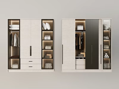 Modern Wardrobe Interior Design With Hanging Rods Drawers Shelves And Lighting 3d model
