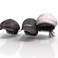 Trendy Casual Hats For Daily Wear With Ocean Logo And Various Colors