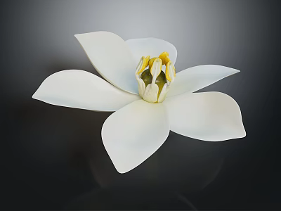 Beautiful White Flower With Open Petals And Yellow Stamens On Dark Background 3d model