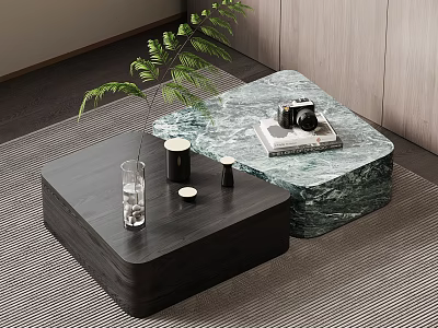 Modern Interior With Black And Marble Patterned Coffee Tables Vase Green Plant Camera Magazine 3d model