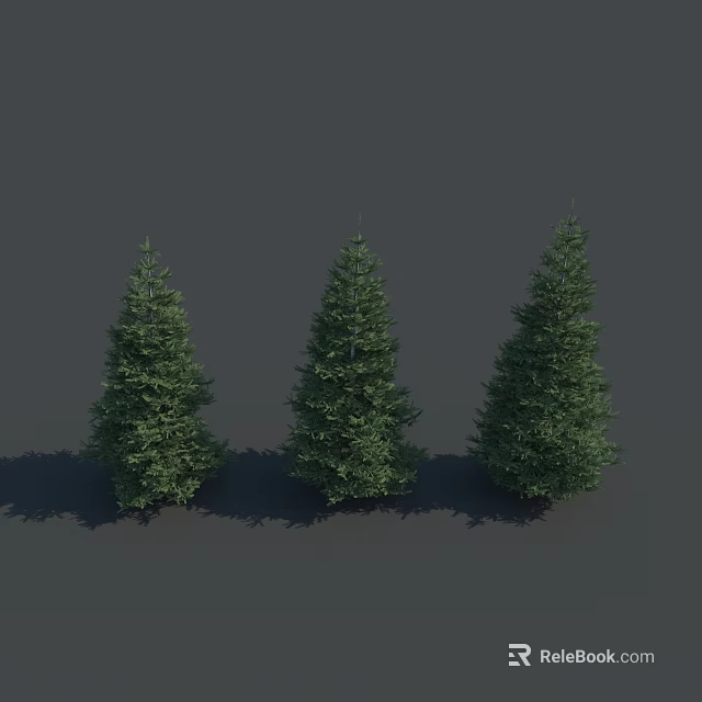 Three Evergreen Trees With Lush Green Foliage On Gray Background With Shadows 3d model 