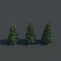 Three Evergreen Trees With Lush Green Foliage On Gray Background With Shadows