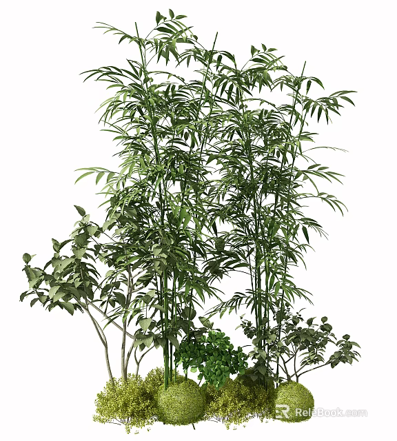 Tall Green Bamboo Plants With Lush Leaves And Small Surrounding Plants 3d model 