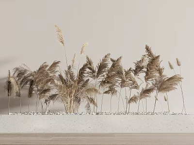 Minimalist Interior With Dried Reed Plants Decoration 3d model