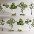 Diverse Landscape Trees with Various Heights Natural Stones and Green Grass 3d model