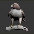 Detailed Falcon Sculpture Perched On Wooden Branch With Gray White Feathers And Red Tail