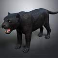 Realistic Black Panther With Open Mouth Standing On Gray Surface
