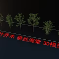 Realistic Detailed Deciduous Weeping Crabapple Tree 3D Models for Landscape Design 3d model