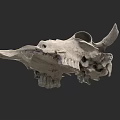 Detailed Isolated White Cow Skull with Horns on Dark Background