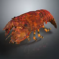 Vibrant Red Spiny Lobster With Detailed Textured Shell And Colorful Legs