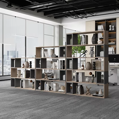 Room Divider Cabinet With Multiple Shelves Books Decorative Items And Green Plants In Modern Office 3d model