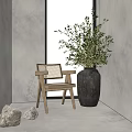 Modern Minimalist Lounge Chair In Indoor Corner With Rattan Backrest Olive Plant And Natural Light