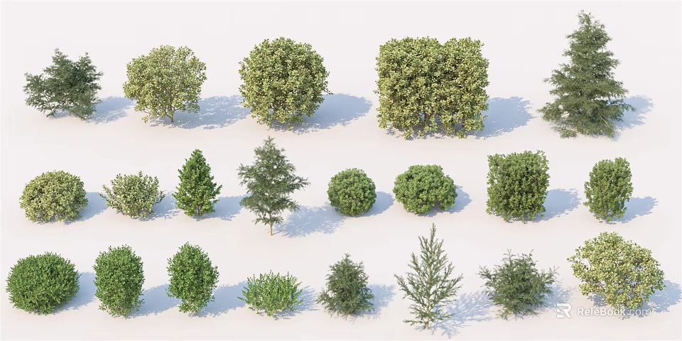 Various Green Shrubs in Different Sizes and Shapes for Landscaping 3d model 
