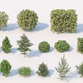 Various Green Shrubs in Different Sizes and Shapes for Landscaping 3d model
