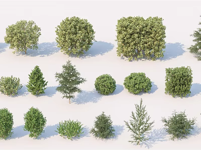 Various Green Shrubs in Different Sizes and Shapes for Landscaping 3d model