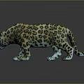 Realistic 3D Leopard Model With Spotted Pattern In Standing Pose On Dark Background With Reflection 3d model