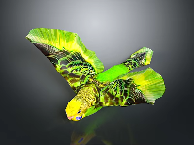 Green and Yellow Parrot Flying with Spread Wings and Vibrant Plumage in Flight 3d model