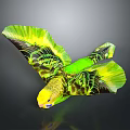 Green and Yellow Parrot Flying with Spread Wings and Vibrant Plumage in Flight