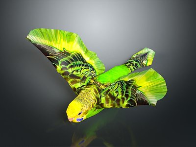 Modern Parrot Xuan Feng Parrot Budgie Shang Parrot 3d model