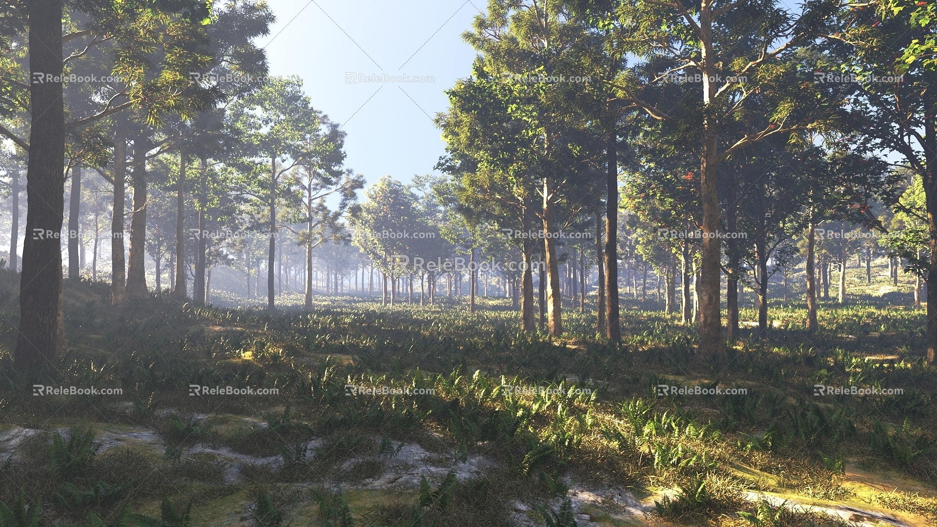 forest forest big tree 3d model