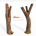 Natural Wooden Tree Stumps Featuring Stone Like Texture And Bark Patterns 3d model