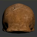Detailed Orange Animal Skull With Natural Textured Surface On Dark Background