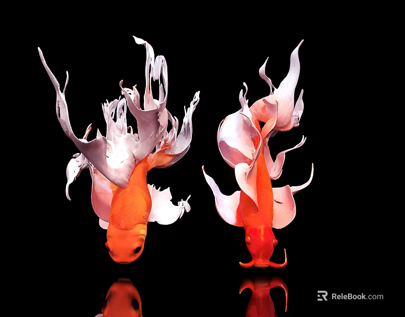 Two Vibrant Orange Goldfish With Flowing Fins On Black Background With Reflections 3d model 