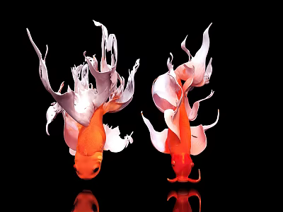 Two Vibrant Orange Goldfish With Flowing Fins On Black Background With Reflections 3d model