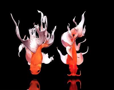 Two Vibrant Orange Goldfish With Flowing Fins On Black Background With Reflections 3d model