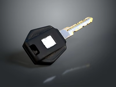 Black Key With Metallic Shank And Plastic Handle On Gray Background 3d model