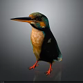 Vibrant Kingfisher With Blue And Orange Feathers Red Feet And Long Beak Against Dark Background