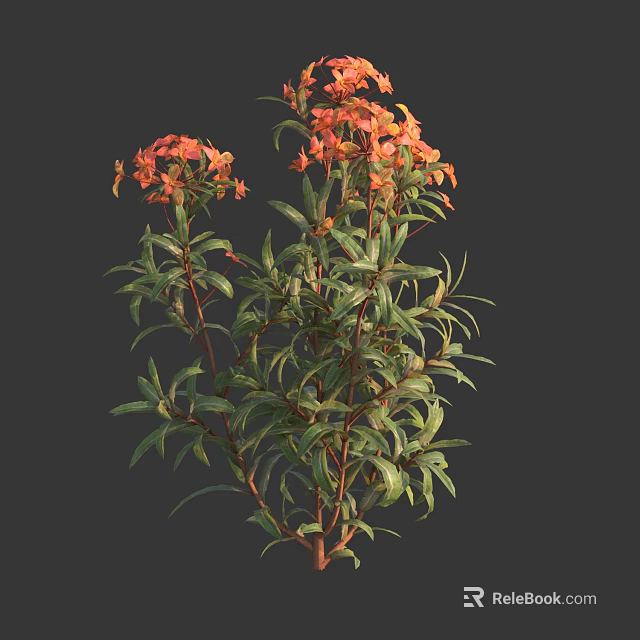 Vibrant Red Flowers With Lush Green Leaves On A Beautiful Flowering Plant 3d model 