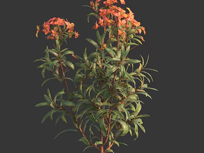 Vibrant Red Flowers With Lush Green Leaves On A Beautiful Flowering Plant 3d model