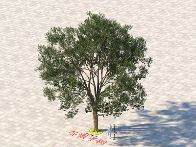 Tall Arbor With Lush Green Foliage Standing On Paved Ground With People 3d model