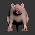 Modern mouse mouse wizard hairless mouse mouse warlock 3d model