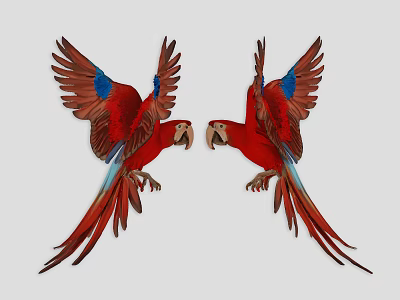Vibrant Red Parrots With Spread Wings Blue Feathers And Long Tails On Gray Background 3d model