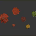 Colorful Trees With Red Orange Green Foliage Arranged On Grey Background With Reflections