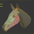 Anatomical 3D Model of Horse Skull Displaying Organ Structures and Hair Details