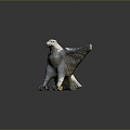 Eagle Large Eagle Owl Raptor Falcon Bird Bird Bird Animal Game Animal 3d model