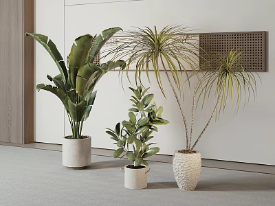 Various Types of Potted Plants in Stylish Ceramic Pots for Modern Interior Decor 3d model